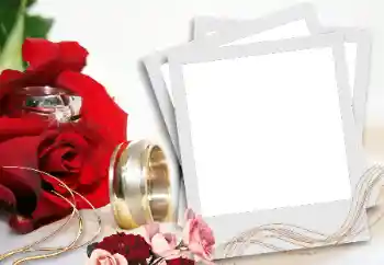 Effet photo de catégorie Cadres de mariage № 31736