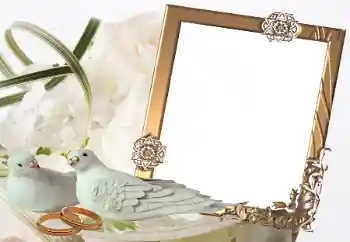 Effet photo de catégorie Cadres de mariage № 32814