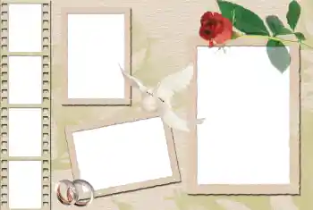 Effet photo de catégorie Cadres de mariage № 36230