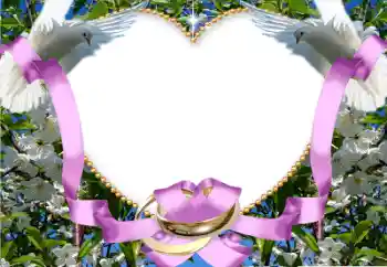 Effet photo de catégorie Cadres de mariage № 38666