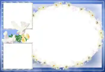 Effet photo de catégorie Cadres de mariage № 39329
