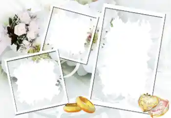 Effet photo de catégorie Cadres de mariage № 40512