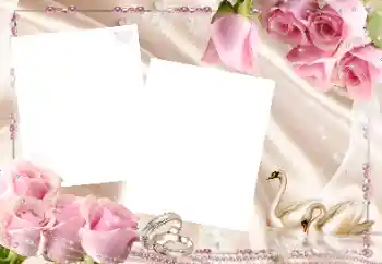 Effet photo de catégorie Cadres de mariage № 43521
