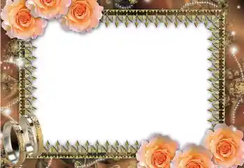 Effet photo de catégorie Cadres de mariage № 45669