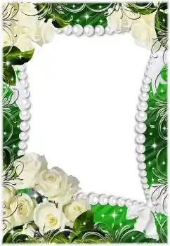 Effet photo de catégorie Cadres de mariage № 45794