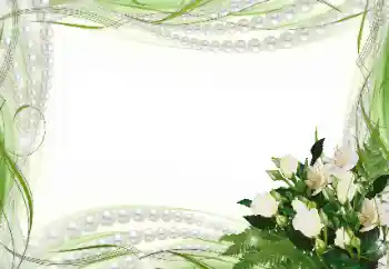 Effet photo de catégorie Cadres de mariage № 45814