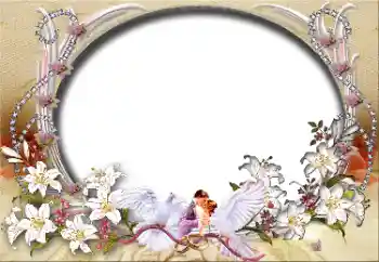 Effet photo de catégorie Cadres de mariage № 45827