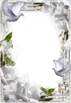Effet photo de catégorie Cadres de mariage № 49574
