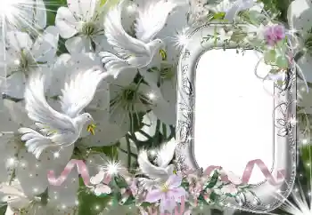 Effet photo de catégorie Cadres de mariage № 50686
