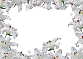 Effet photo de catégorie Cadres de mariage № 54