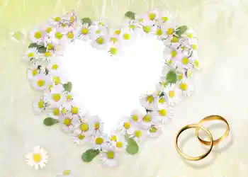 Effet photo de catégorie Cadres de mariage № 56