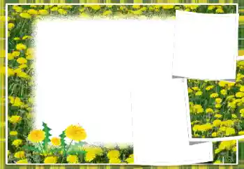Effet photo de catégorie Cadres de photo pour femmes № 103949