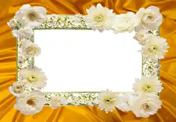 Effet photo de catégorie Cadres de photo pour femmes № 104047