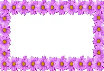 Effet photo de catégorie Cadres de photo pour femmes № 105414