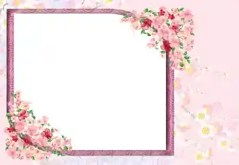 Effet photo de catégorie Cadres de photo pour femmes № 105467