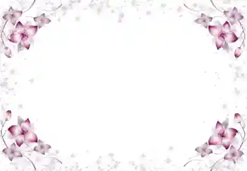 Effet photo de catégorie Cadres de photo pour femmes № 105650