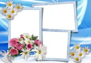 Effet photo de catégorie Cadres de photo pour femmes № 10866