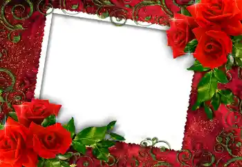 Effet photo de catégorie Cadres de photo pour femmes № 112252