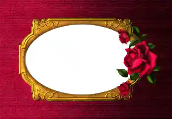 Effet photo de catégorie Cadres de photo pour femmes № 112254