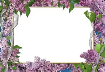 Effet photo de catégorie Cadres de photo pour femmes № 112261