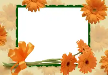 Effet photo de catégorie Cadres de photo pour femmes № 112266