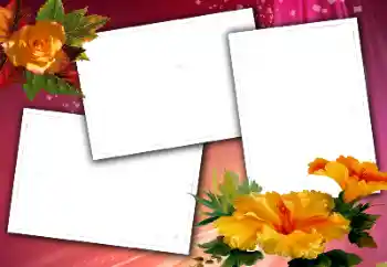 Effet photo de catégorie Cadres de photo pour femmes № 114406