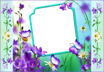 Effet photo de catégorie Cadres de photo pour femmes № 116096