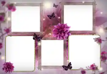 Effet photo de catégorie Cadres de photo pour femmes № 116128