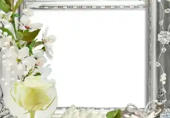 Effet photo de catégorie Cadres de photo pour femmes № 124413