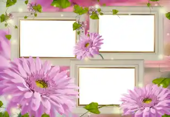 Effet photo de catégorie Cadres de photo pour femmes № 124509