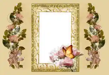 Effet photo de catégorie Cadres de photo pour femmes № 125903