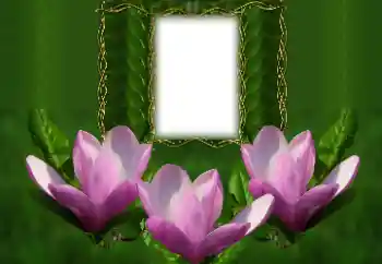Effet photo de catégorie Cadres de photo pour femmes № 126934