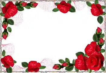 Effet photo de catégorie Cadres de photo pour femmes № 126940