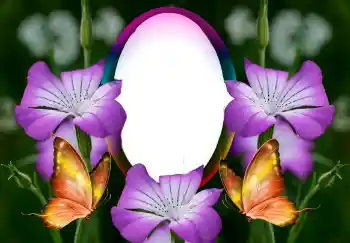 Effet photo de catégorie Cadres de photo pour femmes № 126946