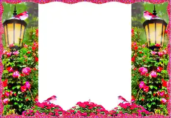 Effet photo de catégorie Cadres de photo pour femmes № 127058