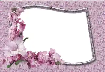 Effet photo de catégorie Cadres de photo pour femmes № 12831