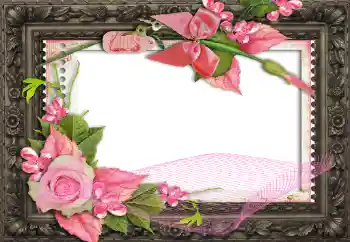 Effet photo de catégorie Cadres de photo pour femmes № 130791