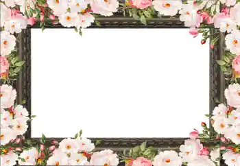 Effet photo de catégorie Cadres de photo pour femmes № 130792