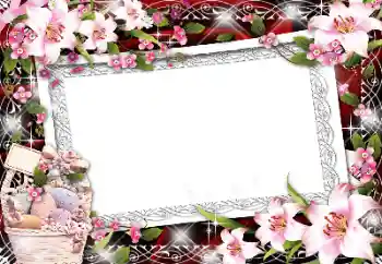 Effet photo de catégorie Cadres de photo pour femmes № 130808