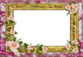 Effet photo de catégorie Cadres de photo pour femmes № 130834
