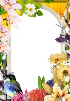 Effet photo de catégorie Cadres de photo pour femmes № 133075