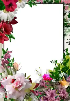 Effet photo de catégorie Cadres de photo pour femmes № 133076