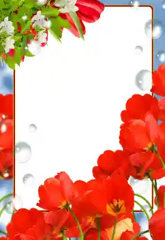 Effet photo de catégorie Cadres de photo pour femmes № 133081