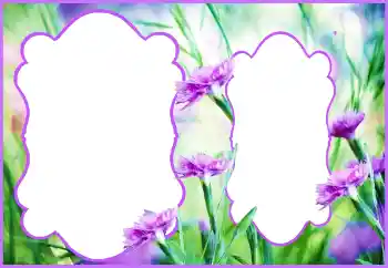 Effet photo de catégorie Cadres de photo pour femmes № 133140
