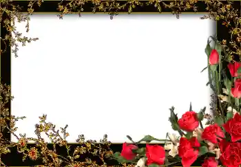 Effet photo de catégorie Cadres de photo pour femmes № 13953