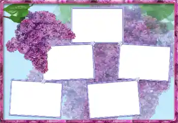 Effet photo de catégorie Cadres de photo pour femmes № 13954