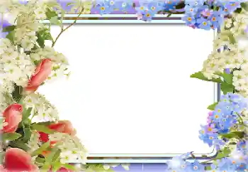 Effet photo de catégorie Cadres de photo pour femmes № 141146