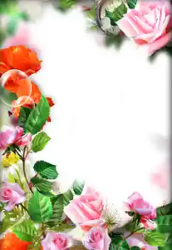 Effet photo de catégorie Cadres de photo pour femmes № 143693 Effet photo de catégorie Cadres de photo pour femmes № 143693