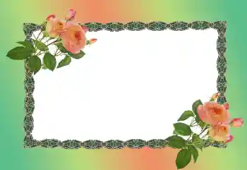 Effet photo de catégorie Cadres de photo pour femmes № 149186
