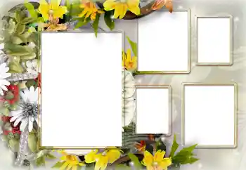 Effet photo de catégorie Cadres de photo pour femmes № 150538